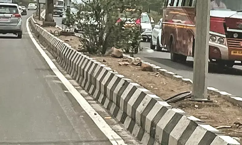 40 करोड़ की हरियाली बंजर और 3 करोड़ खर्च कर संवारेंगे