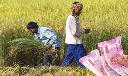 एक रुपया भरकर फसल बीमा करा सकेंगे किसान