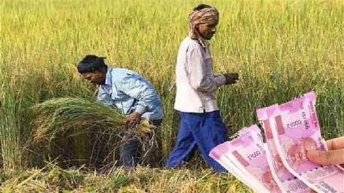 एक रुपया भरकर फसल बीमा करा सकेंगे किसान एक रुपया भरकर फसल बीमा करा सकेंगे किसान