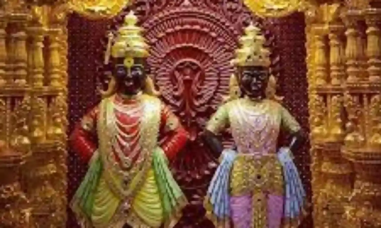 धापेवाड़ा में आषाढ़ी  एकादशी के दिन नहीं दी जाएगी कुर्बानी
