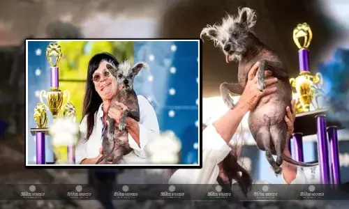 अजब गजब: दुनिया का सबसे बदसूरत कुत्ता, जिसे देखकर आती है घिन, पैर भी हैं उल्टे