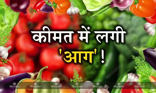 मौसम ने बिगाड़ा रसोई का बजट, टमाटर समेत हरी सब्जियां 100 के पार, व्यापारियों ने बताई बढ़ती कीमत की ये वजह?