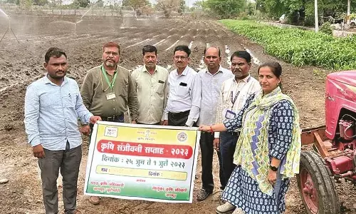 जब तक 100 मिमी बारिश न हो जाए, किसान बुआई न करें जब तक 100 मिमी बारिश न हो जाए, किसान बुआई न करें