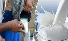 किसानों को दूध की न्यूनतम दर देने समिति का गठन किसानों को दूध की न्यूनतम दर देने समिति का गठन