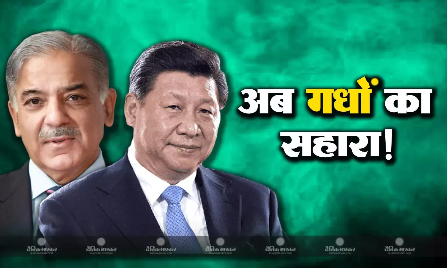 अब चीन खरीदेगा पाकिस्तानी गधे! आर्थिक हालात सुधारने गधे और कुत्ते बेचने पर मजबूर पाकिस्तान, चीन से हो रही है नई डील!