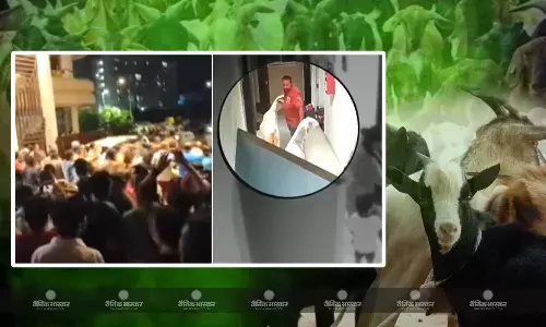 बकरीद से पहले मुंबई में की एक सोसायटी में बवाल, सोसाइटी में बकरे लाने पर दो समुदाय आपस में भिड़े, मामला हुआ दर्ज बकरीद से पहले मुंबई में की एक सोसायटी में बवाल, सोसाइटी में बकरे लाने पर दो समुदाय आपस में भिड़े, मामला हुआ दर्ज