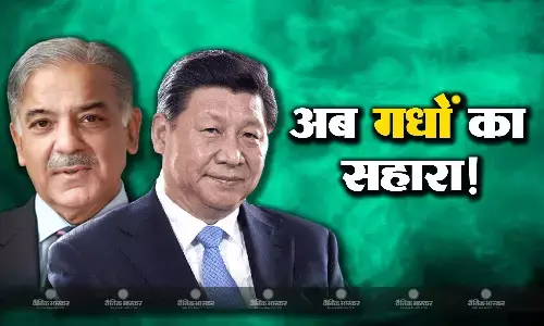 अब चीन खरीदेगा पाकिस्तानी गधे! आर्थिक हालात सुधारने गधे और कुत्ते बेचने पर मजबूर पाकिस्तान, चीन से हो रही है नई डील! अब चीन खरीदेगा पाकिस्तानी गधे! आर्थिक हालात सुधारने गधे और कुत्ते बेचने पर मजबूर पाकिस्तान, चीन से हो रही है नई डील!