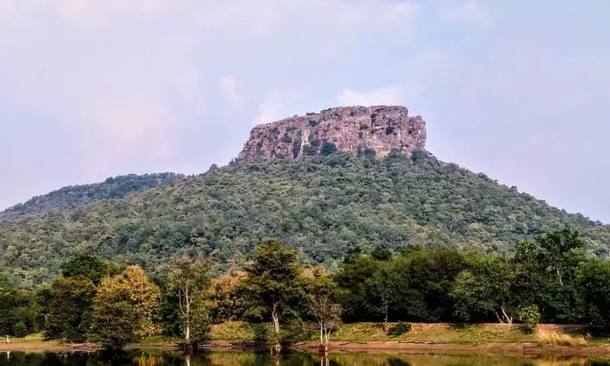 मधुमक्खियों के हमले में 25 टूरिस्ट घायल