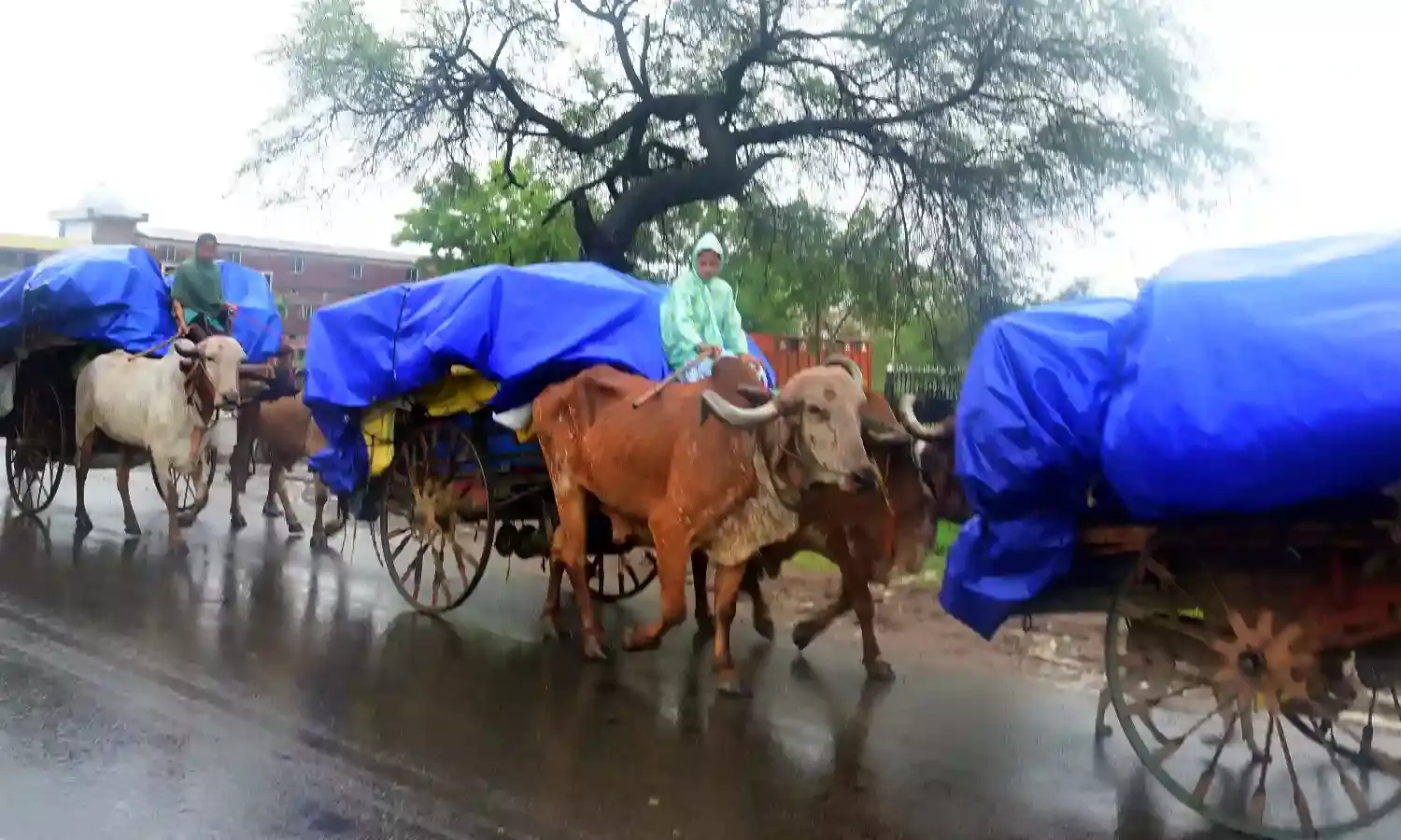पुणे जिले में तेज बारिश, मावल के 8 गांवों का संपर्क टूटा
