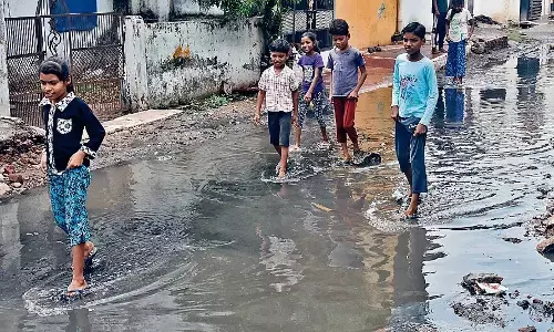 नगर निगम की उदासीनता से बढ़ा रोगों के संक्रमण का खतरा, लोग परेशान नगर निगम की उदासीनता से बढ़ा रोगों के संक्रमण का खतरा, लोग परेशान