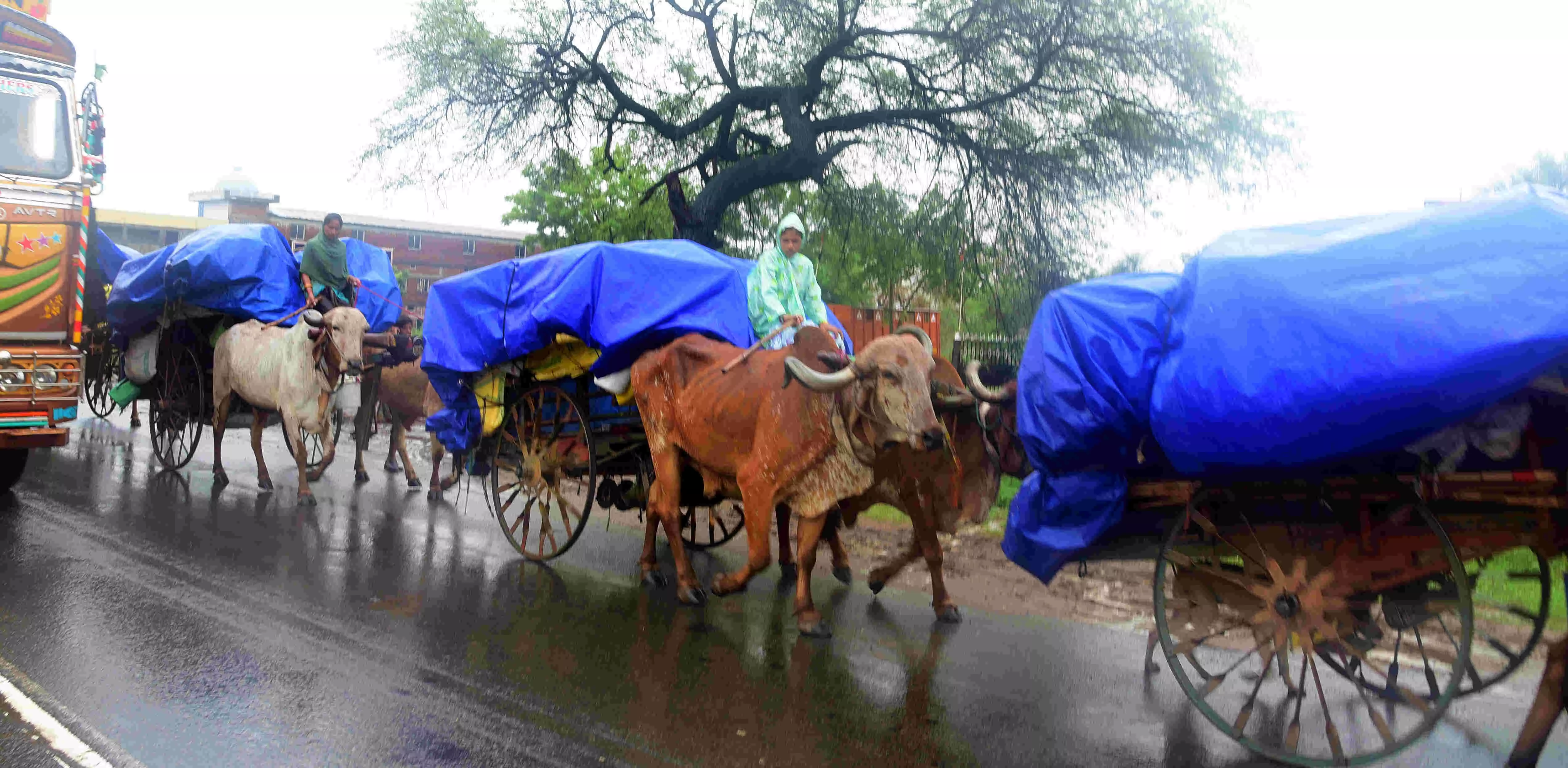 पुणे जिले में तेज बारिश, मावल के 8 गांवों का संपर्क टूटा पुणे जिले में तेज बारिश, मावल के 8 गांवों का संपर्क टूटा