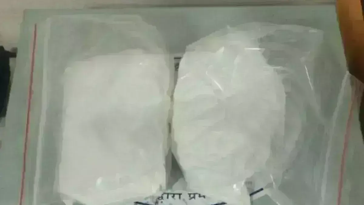 राजस्व ख़ुफ़िया निदेशालय ने जब्त की 5 करोड़ की कोकीन, शो पीस में छिपा हो रही थी तस्करी
