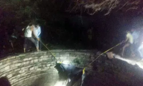 गांव के तीस फिट गहरे खुले कुएं में गिरे बैल की रेस्क्यू कर बचाई गई जान