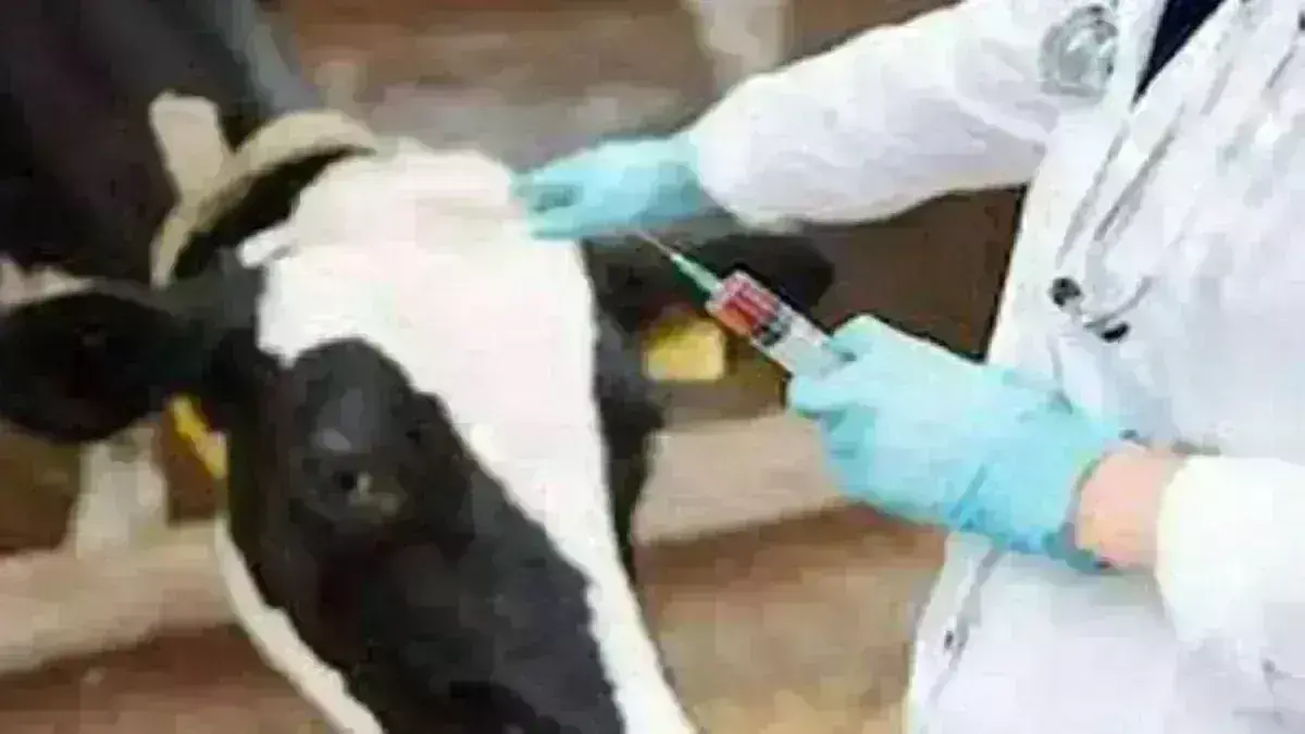 पशुओं के इलाज के लिए राज्य में शुरू होगा 80 वैन