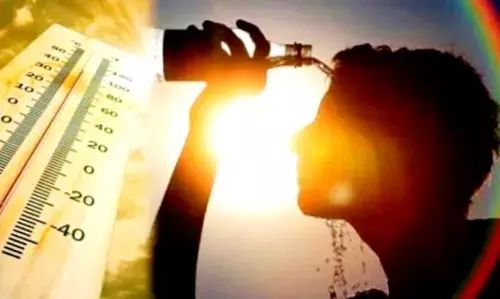 फिर गर्मी और उमस - तेज धूप के साथ उमस ने मचाई हाय तौबा फिर गर्मी और उमस - तेज धूप के साथ उमस ने मचाई हाय तौबा