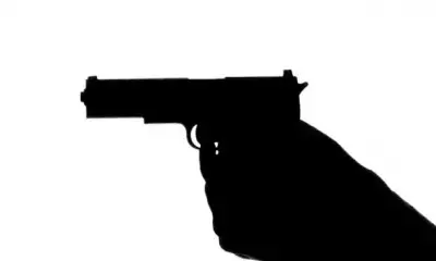 दिल्‍ली: बेटी के पूर्व प्रेमी ने महिला को मारी गोली, मौत