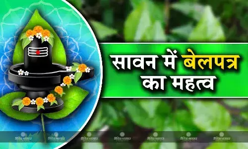श्रावण मास: जानें सावन में बेलपत्र का महत्व, ये हैं बेलपत्र को अर्पित करने के जरूर नियम