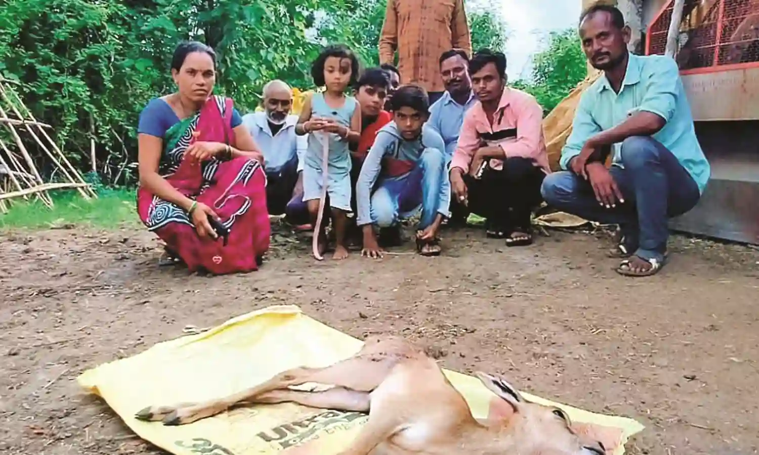 हिरण ने तोड़ा दम, वन विभाग की लापरवाही आई सामने