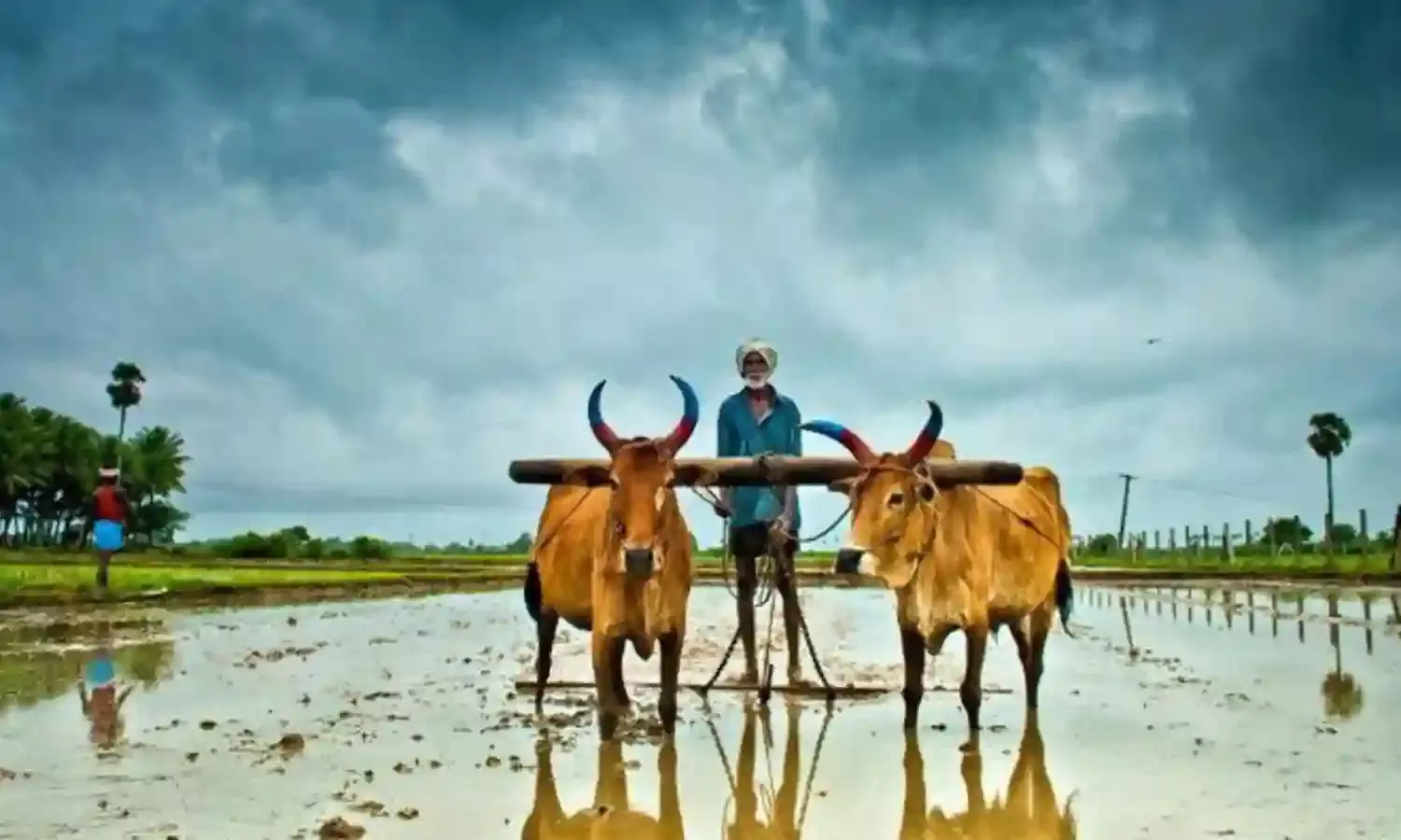 राहत - एक रुपए में प्रधानमंत्री फसल बीमा