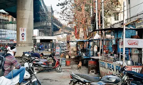 बिजली अधिकारियों ने किया फील्ड पर भ्रमण, पेड़ों से हो रहीं दिक्कतें