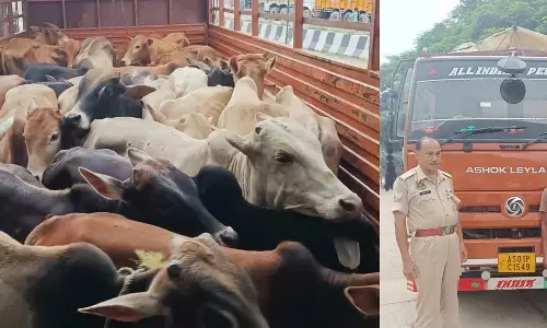 असम में मवेशी तस्करी के आरोप में 4 गिरफ्तार