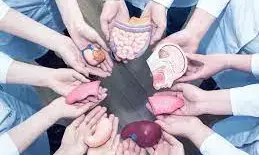 अब सरकारी अस्पताल बनेंगे ब्रेन डेड मरीजों के अंग निकालने के केंद्र