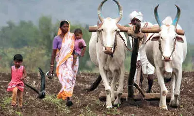 आत्महत्या करने वाले किसानों के परिजनों को मदद करने 15 करोड़ मंजूर