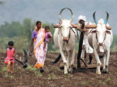 आत्महत्या करने वाले किसानों के परिजनों को मदद करने 15 करोड़ मंजूर आत्महत्या करने वाले किसानों के परिजनों को मदद करने 15 करोड़ मंजूर