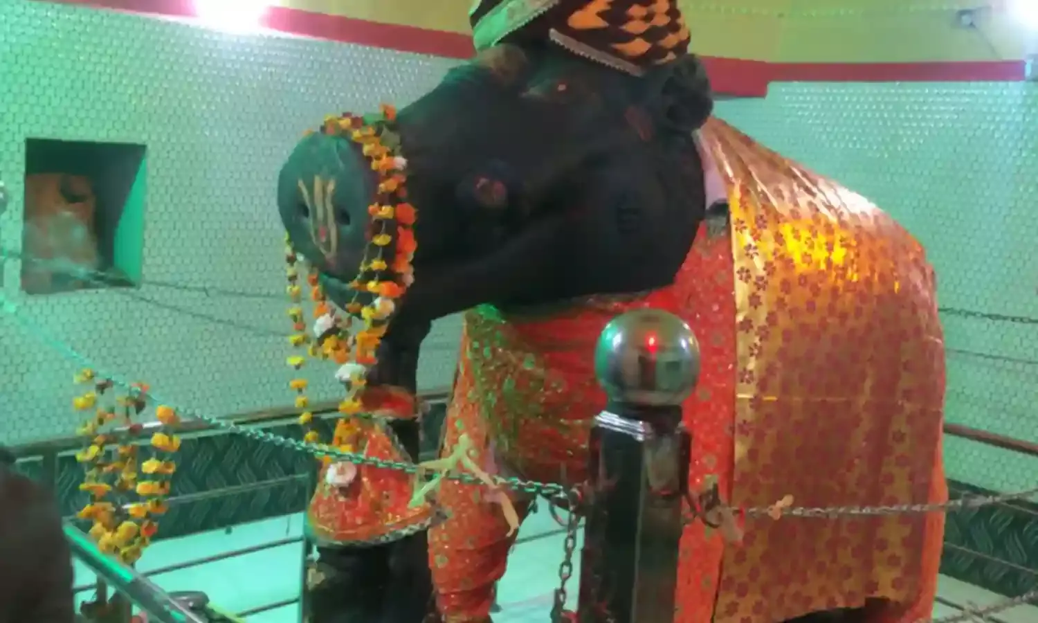 जिले की वेबसाइट में अब मझौली के विष्णु वराह मंदिर को मिली जगह