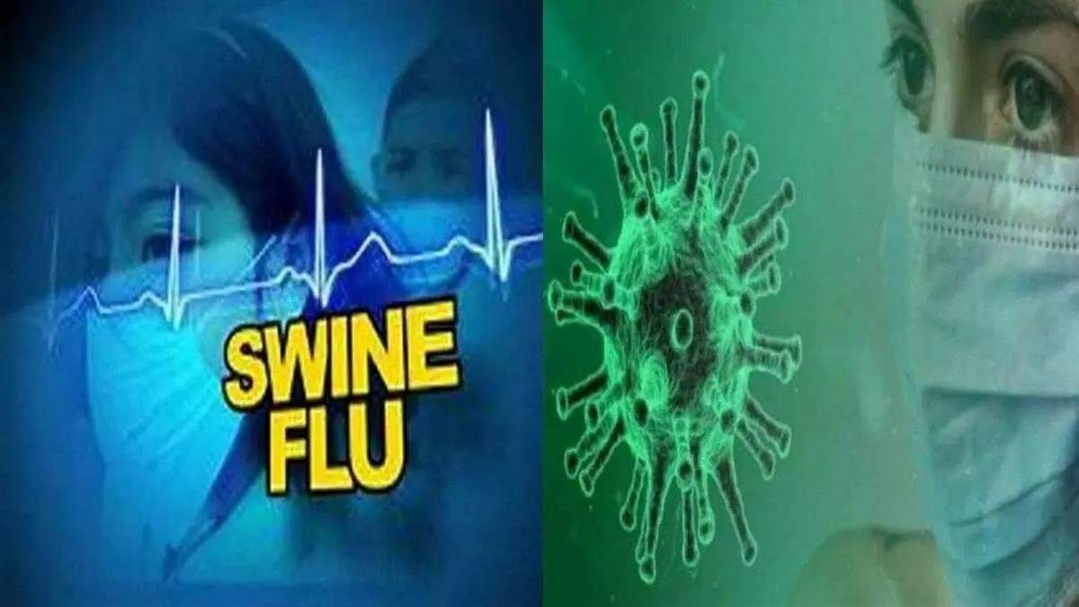 स्वाइन फ्लू से ही महिला की मौत, हुई पुष्टि स्वाइन फ्लू से ही महिला की मौत, हुई पुष्टि