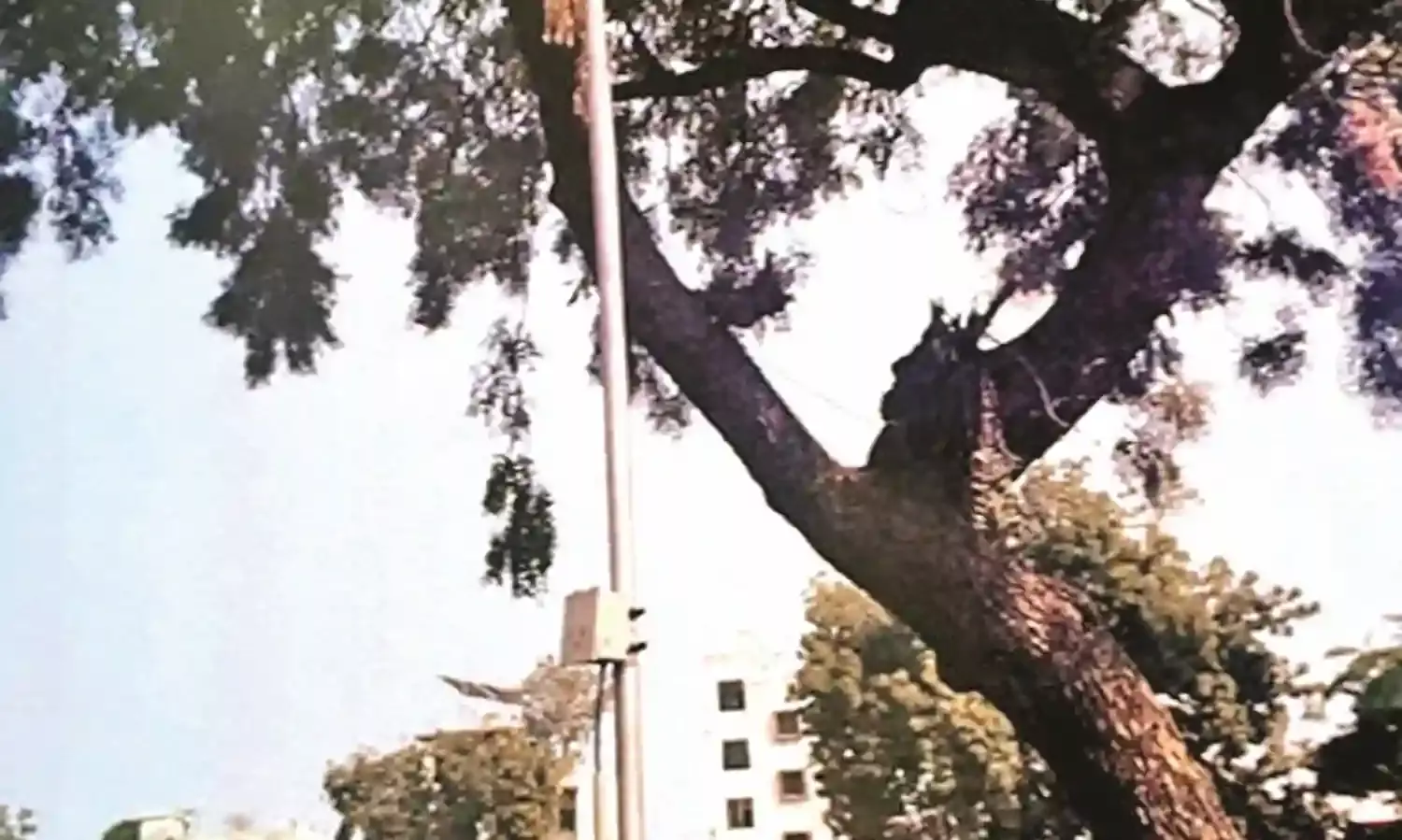 26 करोड़ के लिए अधर में 106 बिजली के खंभे, निधि मुहैया नहीं हुई