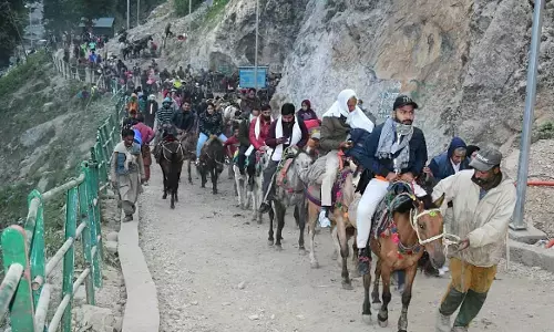 13वें दिन 16 हजार से अधिक लोगों ने की अमरनाथ यात्रा 13वें दिन 16 हजार से अधिक लोगों ने की अमरनाथ यात्रा