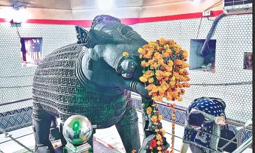 कल्चुरी काल में बनी प्रतिमा की देश के साथ ही विदेश में भी आसानी से जानकारी ले सकेंगे पर्यटक