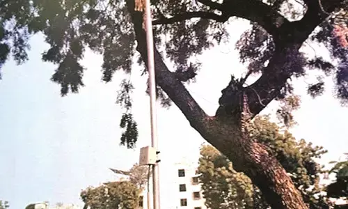 26 करोड़ के लिए अधर में 106 बिजली के खंभे, निधि मुहैया नहीं हुई 26 करोड़ के लिए अधर में 106 बिजली के खंभे, निधि मुहैया नहीं हुई