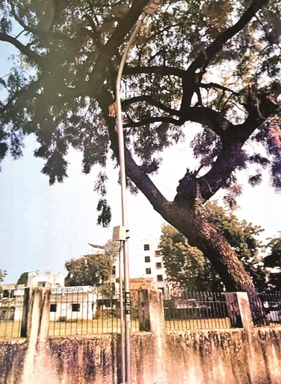 26 करोड़ के लिए अधर में 106 बिजली के खंभे, निधि मुहैया नहीं हुई 26 करोड़ के लिए अधर में 106 बिजली के खंभे, निधि मुहैया नहीं हुई
