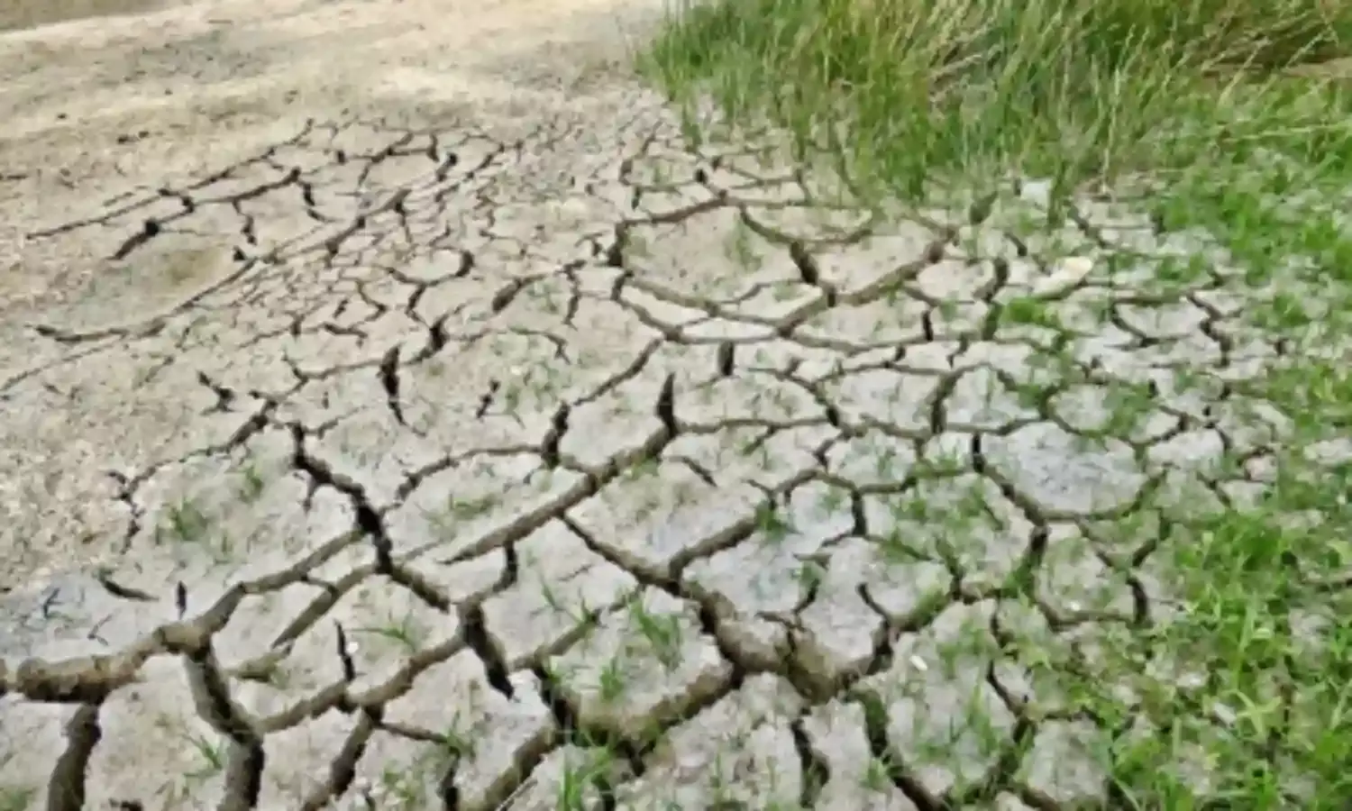 मॉनसून की बेरुखी से झारखंड में सूखे की आशंका, अब तक मात्र 10 फीसदी बुआई