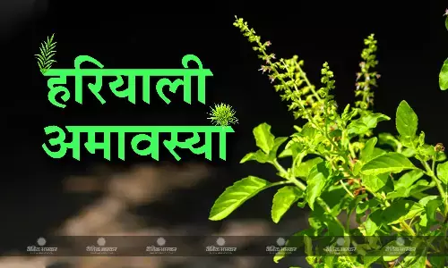 हरियाली अमावस्या: जानिए क्यों खास है इस बार हरियाली अमावस्या, क्या है पूजा का शुभ मुहूर्त