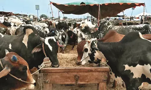 नागपुर में नंदग्राम प्रोजेक्ट मंजूर, 103 करोड़ आवंटित नागपुर में नंदग्राम प्रोजेक्ट मंजूर, 103 करोड़ आवंटित