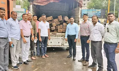 4 लाख का सागौन सहित ट्रक जब्त, चालक गिरफ्तार 4 लाख का सागौन सहित ट्रक जब्त, चालक गिरफ्तार