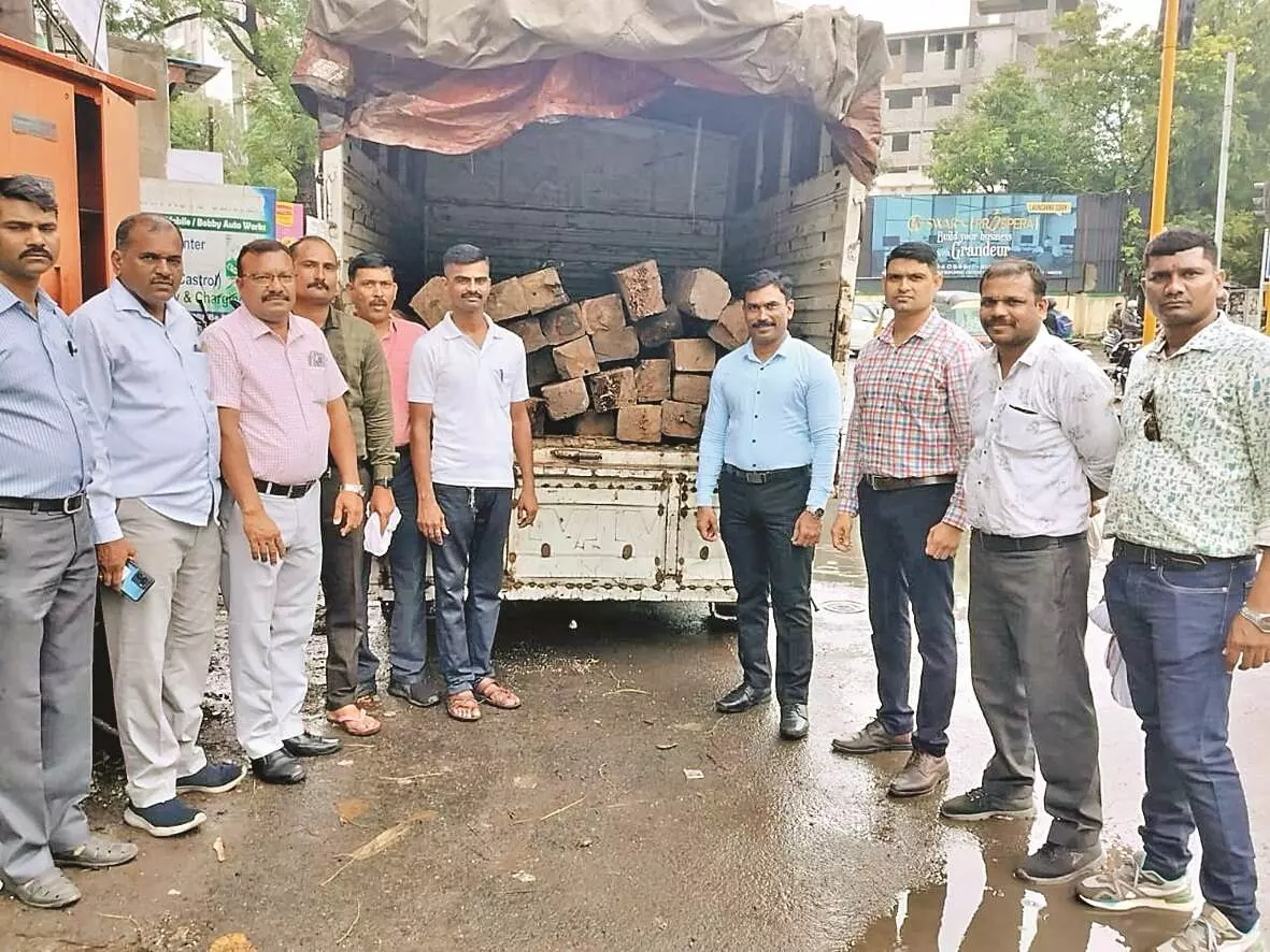 4 लाख का सागौन सहित ट्रक जब्त, चालक गिरफ्तार 4 लाख का सागौन सहित ट्रक जब्त, चालक गिरफ्तार