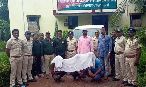 दुर्लभ पेंगोलिन की तस्करी  मामले में 3 गिरफ्तार