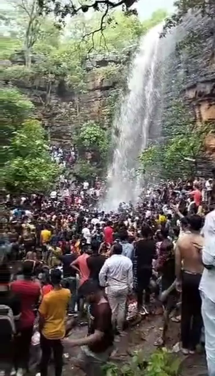 बाघ का विचरण, मुक्ताबाई झरना दस दिन के लिए बंद बाघ का विचरण, मुक्ताबाई झरना दस दिन के लिए बंद