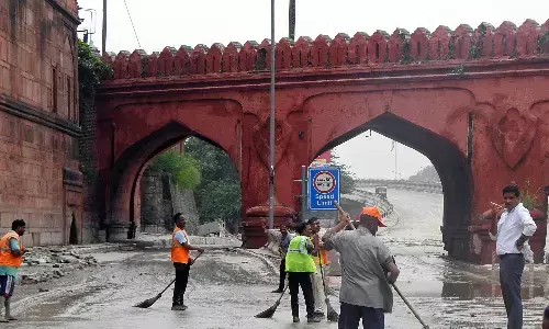 दिल्ली : घरों में निकल रहे हैं सांप, छात्रों को डेंगू मच्छरों से बचाने के निर्देश