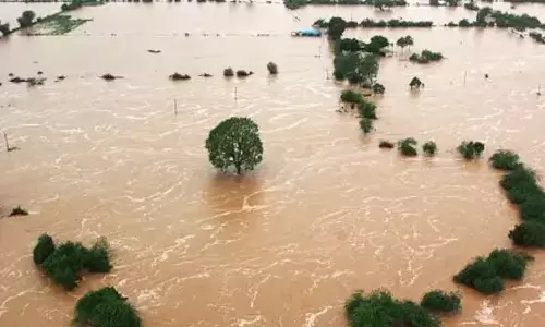 राजस्थान का हनुमानगढ़ जिला बाढ़ की चपेट में