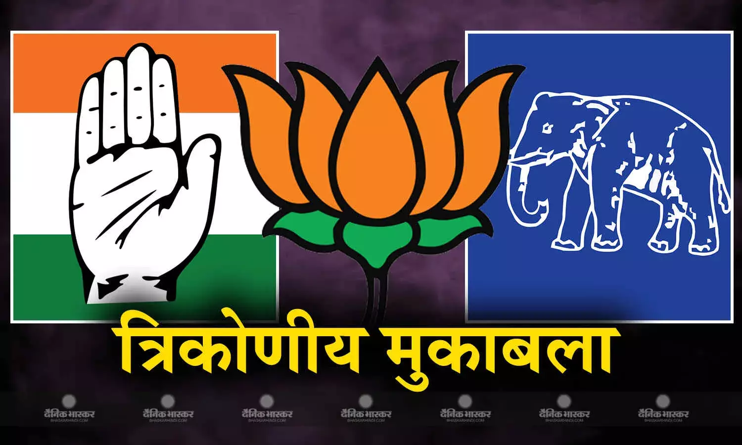 दमोह में चेहरा, पथरिया, हटा और जबेरा में जातीय समीकरण से तय होती है जीत