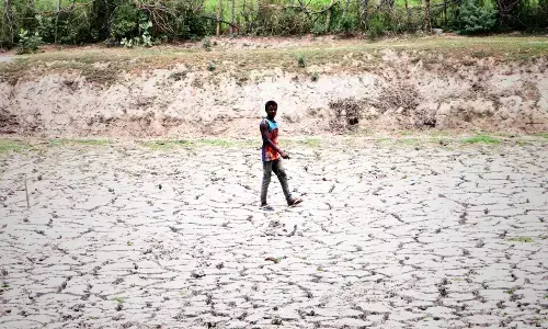 तमिलनाडु के छह जिले सूखा प्रभावित घोषित