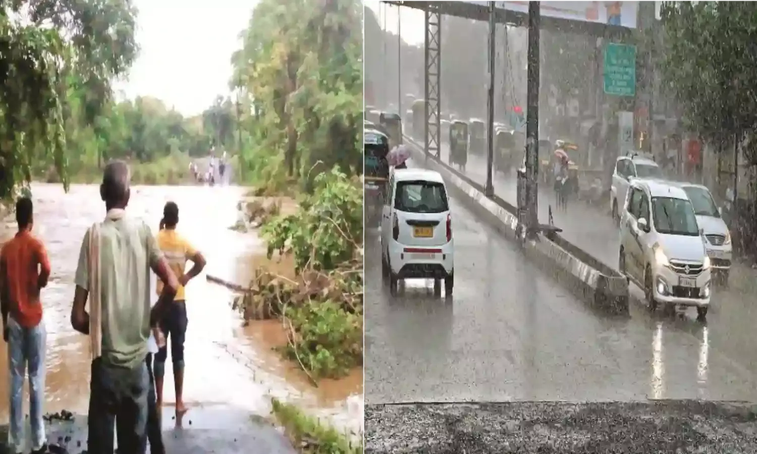 हादसा - घोड़ा गाड़ी बही, 4 घोड़ों की मौत