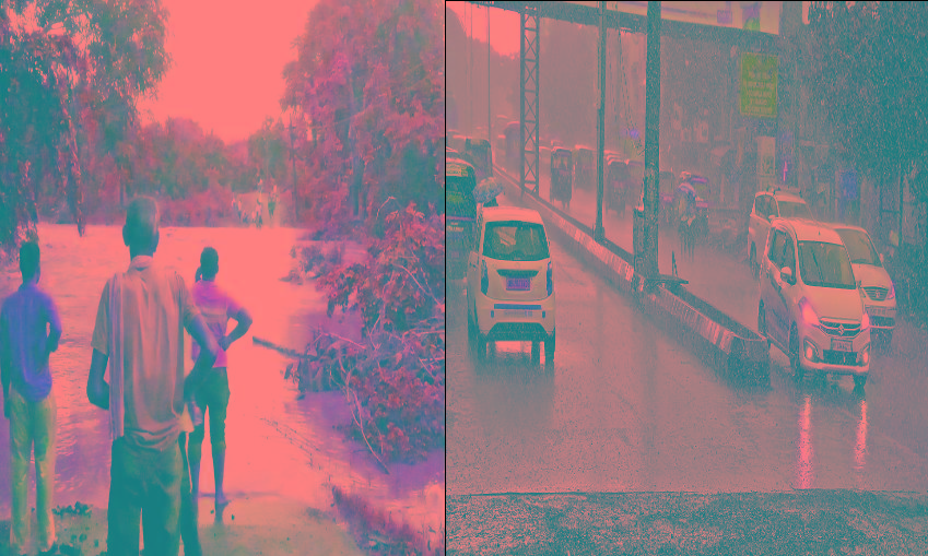 हादसा - घोड़ा गाड़ी बही, 4 घोड़ों की मौत हादसा - घोड़ा गाड़ी बही, 4 घोड़ों की मौत