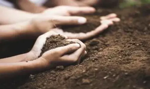 महिला को लगी मिट्टी खाने की आदत, अजीबोगरीब शौक के चलते खर्च कर चुकी 3.5 लाख रुपये