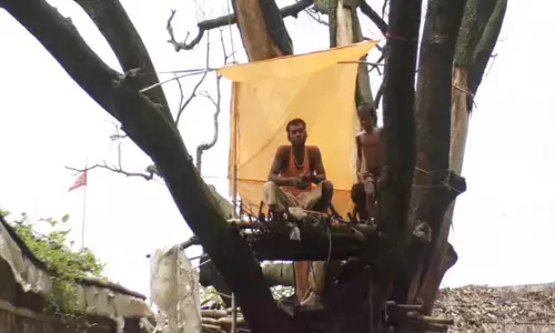 बिहार के इस गांव में लोग घरों में नहीं बल्कि पेड़ों पर करते हैं निवास, वजह जानकार रह जाएंगे हैरान